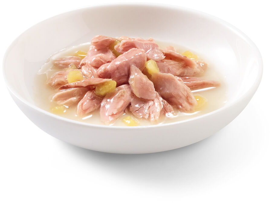Schesir Fruit Ton Balıklı ve Mangolu Jöle İçinde Tamamlayıcı Yetişkin Kedi Yaş Maması 75 g - 3