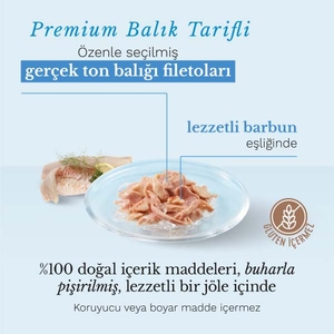 Schesir Ton Balıklı ve Barbun Balıklı Jöle İçinde Tamamlayıcı Yetişkin Kedi Yaş Maması 85 g - 4