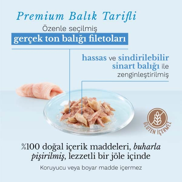 Schesir Ton Balıklı ve Sinarit Balıklı Jöle İçinde Tamamlayıcı Yetişkin Kedi Yaş Maması 85 g - 4