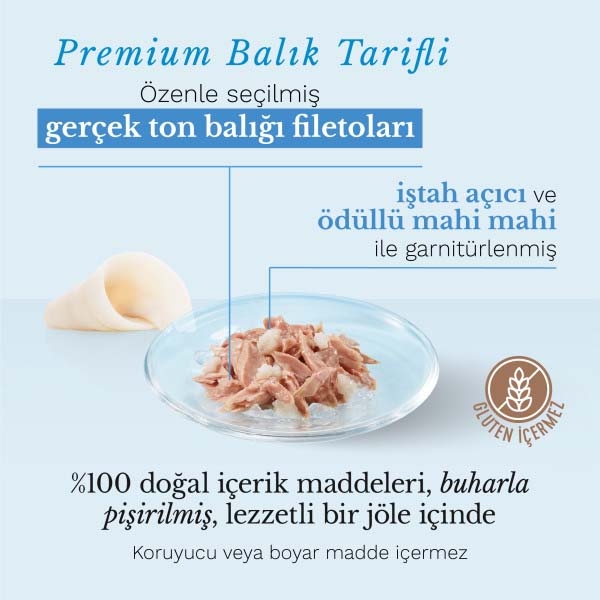 Schesir Ton Balıklı ve Mahi Mahi Balıklı Jöle İçinde Tamamlayıcı Yetişkin Kedi Yaş Maması 85 g - 4