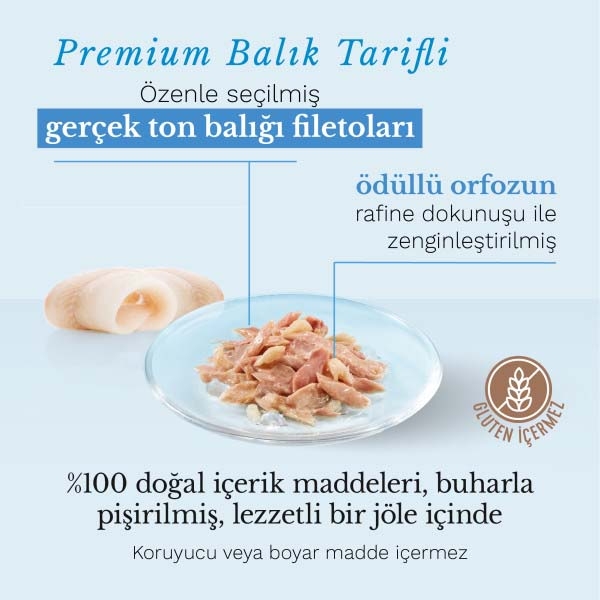 Schesir Ton Balıklı ve Orfoz Balıklı Jöle İçinde Tamamlayıcı Yetişkin Kedi Yaş Maması 85 g - 4