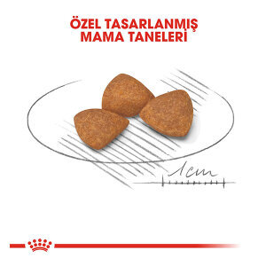 Royal Canin X-Small +12 Yaşlı Mini Irk Köpek Maması 1.5 KG - 3