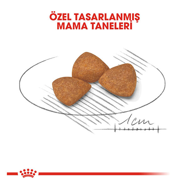 Royal Canin X-Small +12 Yaşlı Mini Irk Köpek Maması 1.5 KG - 3