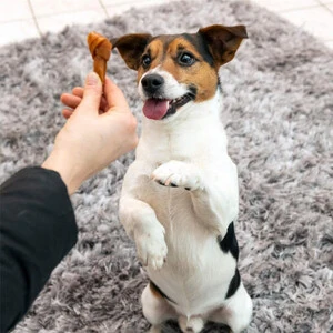 SmartBones Biftekli Mini Köpek Ödül Kemiği 8 Adet 128 Gr - 3