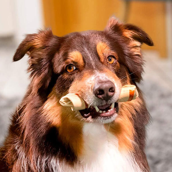 SmartBones Tavuklu Medium Köpek Ödül Kemiği 128 g (2'li Paket) - 5
