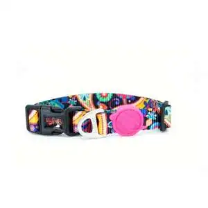 Tailpetz Collar Köpek Boyun Tasması L - 16