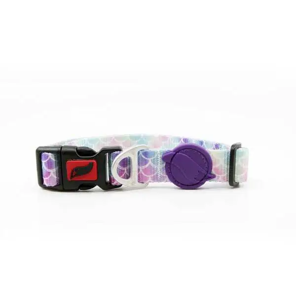 Tailpetz Collar Köpek Boyun Tasması XS - 18