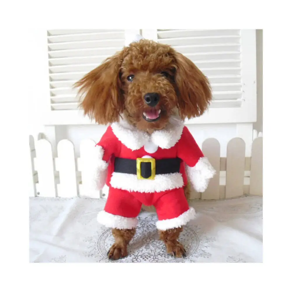 Tigres Jesty Eğlenceli Noel Baba Şeklinde Kedi Kıyafeti - 5