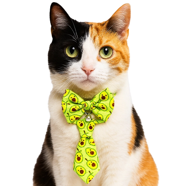 Tigres Team Avokado Desenli Papyon-Kravat-Fular Kedi Tasma Takımı - 1