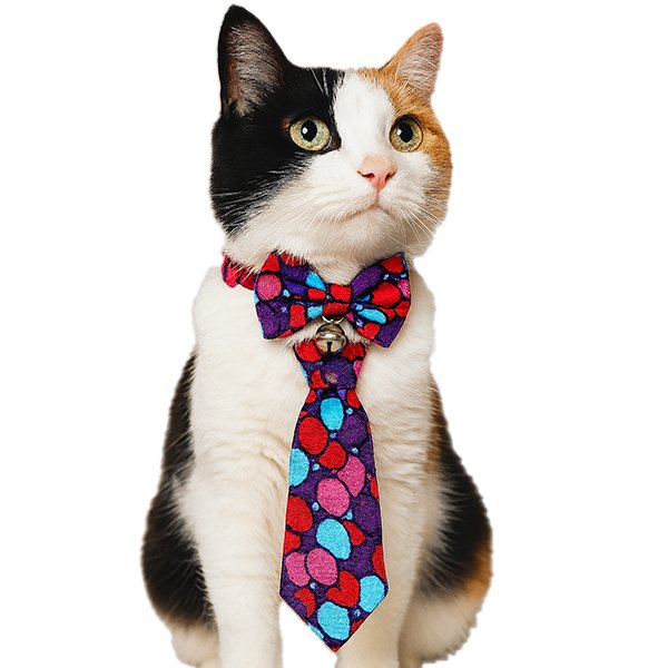 Tigres Team Balon Desenli Papyon-Kravat-Fular Kedi Tasma Takımı - 1