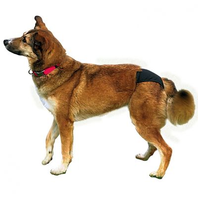 Trixie Hijyenik Köpek Külodu XL 60–70 cm, Siyah - 2