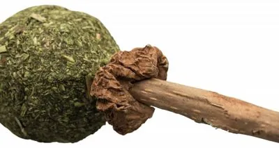 Trixie Kedi Oyuncağı, Matatabi ve Kediotlu, 11cm - 1