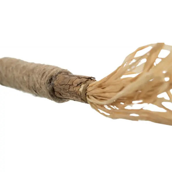 Trixie Kedi Püsküllü Matatabi Oyuncağı,24cm - 3