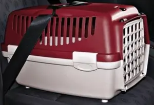 Trixie Kedi Taşıma Çantası 32x31x48 cm Mavi/Koyu Gri - 7