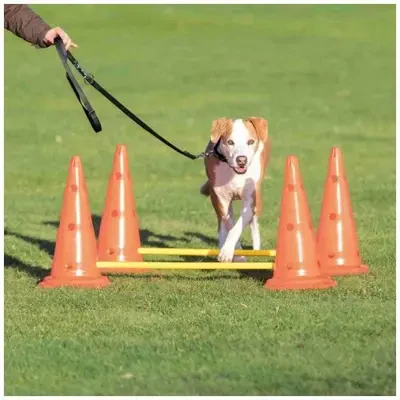 Trixie Köpek Agility Oyuncağı 3 Ad 23X30cm 78cm
