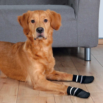 Trixie Köpek Çorabı, Kaymaz, XL, 2 Adet, Siyah - 1
