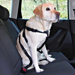 Trixie Köpek Emniyet Kemeri S 30-60cm