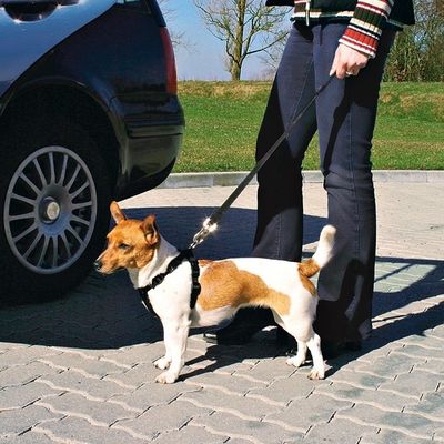 Trixie Köpek Emniyet Kemeri S 30-60cm - 2
