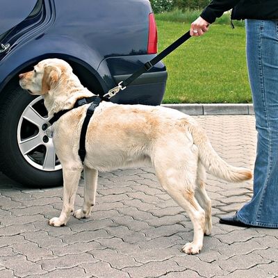 Trixie Köpek Emniyet Kemeri S 30-60cm - 3