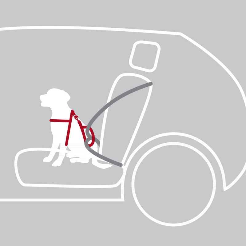 Trixie Köpek Emniyet Kemeri ve Göğüs Tasması 40-55cm 17mm Siyah S-M - 3