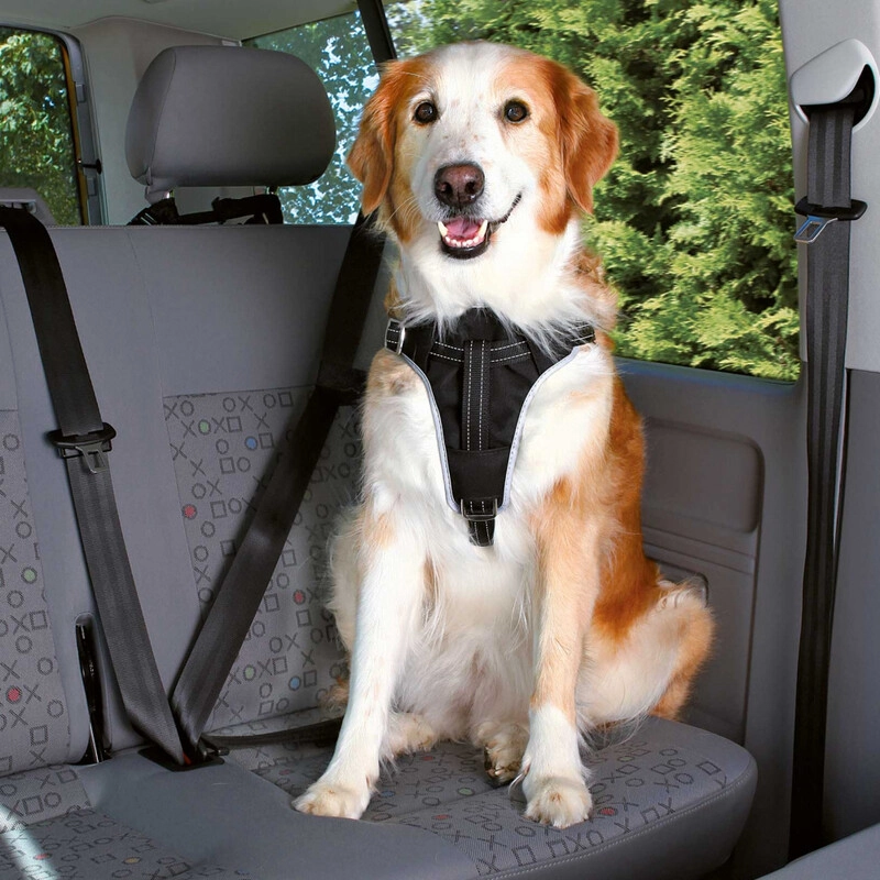 Trixie Köpek Emniyet Kemeri ve Göğüs Tasması 50-65cm 20mm Siyah M - 1