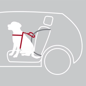 Trixie Köpek Emniyet Kemeri ve Göğüs Tasması 50-65cm 20mm Siyah M - 5