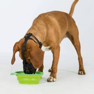 Trixie Köpek Esnek Silikon Köpek Ağızlığı, M - 2