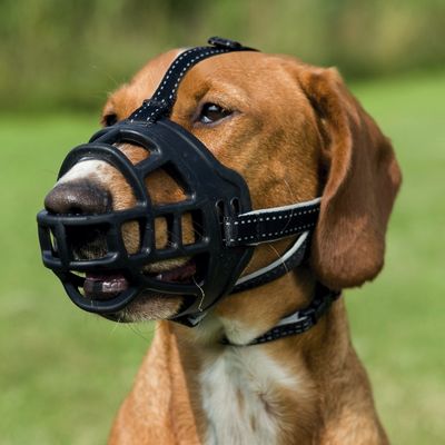 Trixie Köpek Esnek Silikon Köpek Ağızlığı, XL - 3
