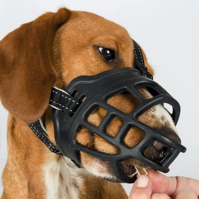 Trixie Köpek Esnek Silikon Köpek Ağızlığı, XL - 4