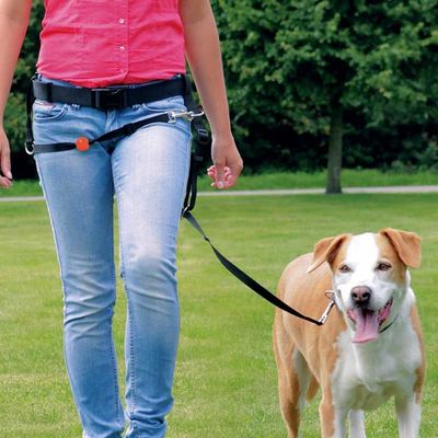 Trixie Köpek Kolay Yürüme Gezdirme Kayışı Seti - 1