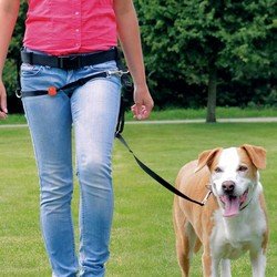 Trixie Köpek Kolay Yürüme Gezdirme Kayışı Seti