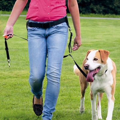 Trixie Köpek Kolay Yürüme Gezdirme Kayışı Seti - 2