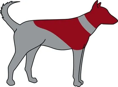 Trixie Köpek Koruyucu Şişme Yakalık L-XL, Mavi - 2