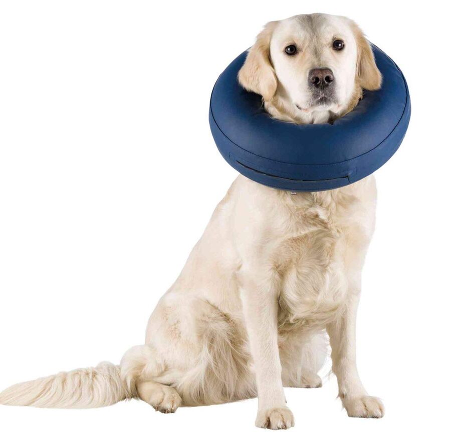 Trixie Köpek Koruyucu Şişme Yakalık Xs, Mavi - 2
