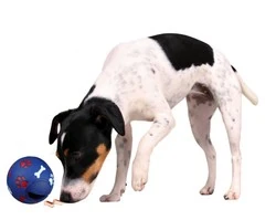 Trixie Köpek Ödül Topu , 14 cm - 2