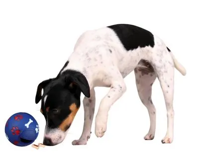 Trixie Köpek Ödül Topu , 14 cm - 2