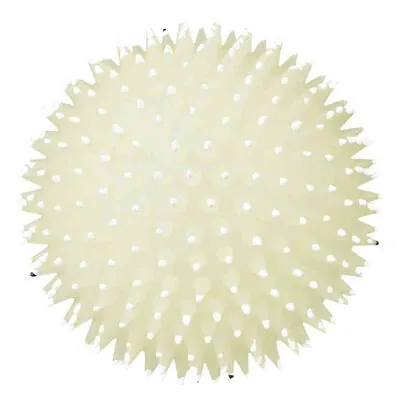 Trixie Köpek Oyun Topu Vinyl 10cm - 3