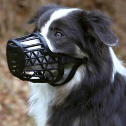 Trixie Köpek Plastik Ağızlık XL 35 Cm - 2