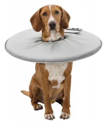 Trixie Köpek Yakalığı M:38-42cm/21,5cm Gri - 2