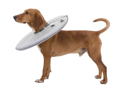 Trixie Köpek Yakalığı XL:60-64cm/29cm Gri - 3