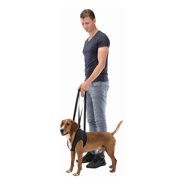 Trixie Köpek Yürüteç Tasması 65-75cm - 2
