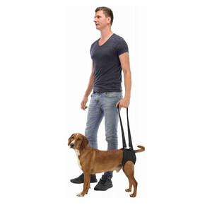 Trixie Köpek Yürüteç Tasması 65-75cm - 1