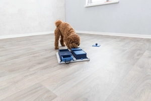 Trixie Köpek Zeka Eğitim Oyuncağı,Poker 31X10X31cm