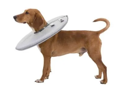 Trixie Köpek/Kedi Yakalığı XS:23-27cm/13cm Gri - 2