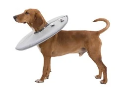 Trixie Köpek/Kedi Yakalığı XXS-XS:18-21cm/11cm Gri - 1