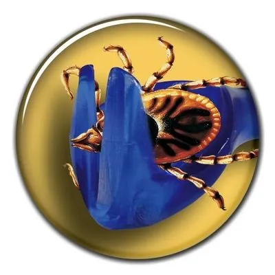 Trixie Köpek/Kedi Kene Temizleme Maşası 6,5cm - 5