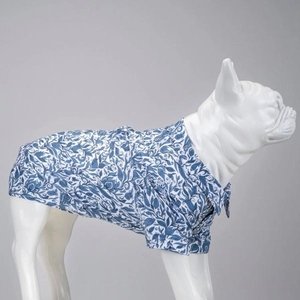 Urban Köpek Gömleği Beden : 4