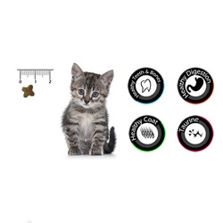 VanCat Kuzulu Pirinçli Yavru Kedi Maması 15 KG - 2