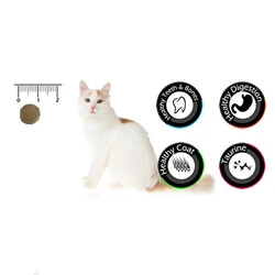 VanCat Kısırlaştırılmış Kedi Maması 15 KG - 2