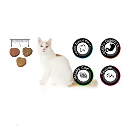 VanCat Multi Color Renkli Yetişkin Kedi Maması 15 KG - 2